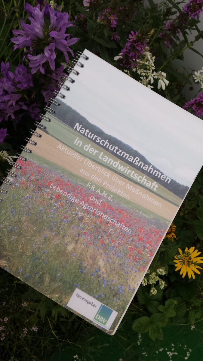 Bauern_Verband's tweet photo. Schnittstelle zwischen #Landwirtschaft &amp; #Naturschutz: #FRANZprojekt, Lebendige #Agrarlandschaften @feldtage. Kooperation gelingt durch #produktionsintegrierte  Maßnahmen. Im #Maßnahmenbuch beider Projekte zusammen gefasst: https://t.co/C79Lj0MLCM https://t.co/NSts6Fn8cO