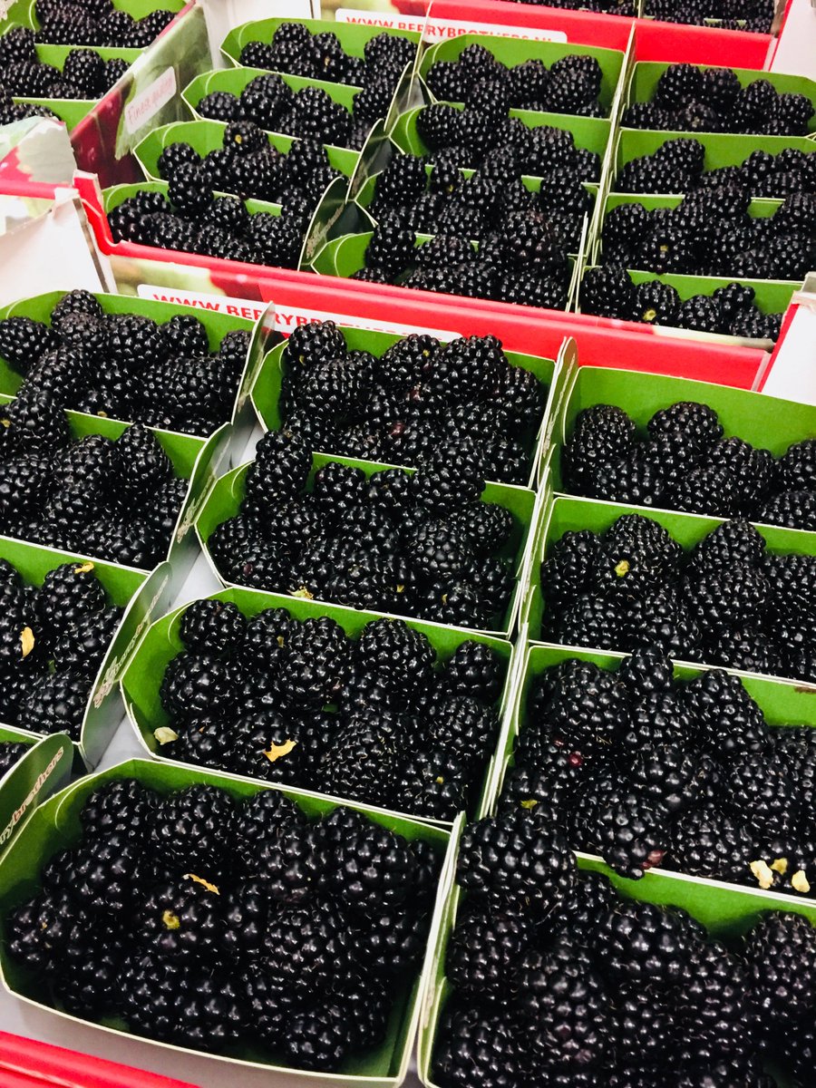 AngusFruit's tweet photo. New Season Portuguese Raspberry and Blackberry from @AngusFruit Contact Jamie Or James for availability ! The WOW factor guaranteed !! #qualityfreshproduce #angusselect #lookingafterourcustomers https://t.co/AoFP1kocZO