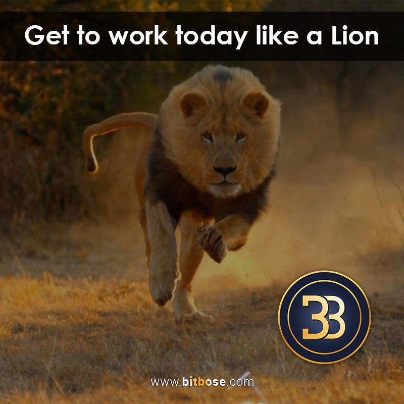 Bitbosecoin's tweet image. Bring your energy to work every day! Start building a better future today with @Bitbosecoin 😎
Visit : bitbose.com/signup
TG: t.me/bitbose
#StayPositive #Bitbose #bosetoken #inspiration #AI #BB #investment #investinbitbose #preico #ETH #cryptolife #wallet