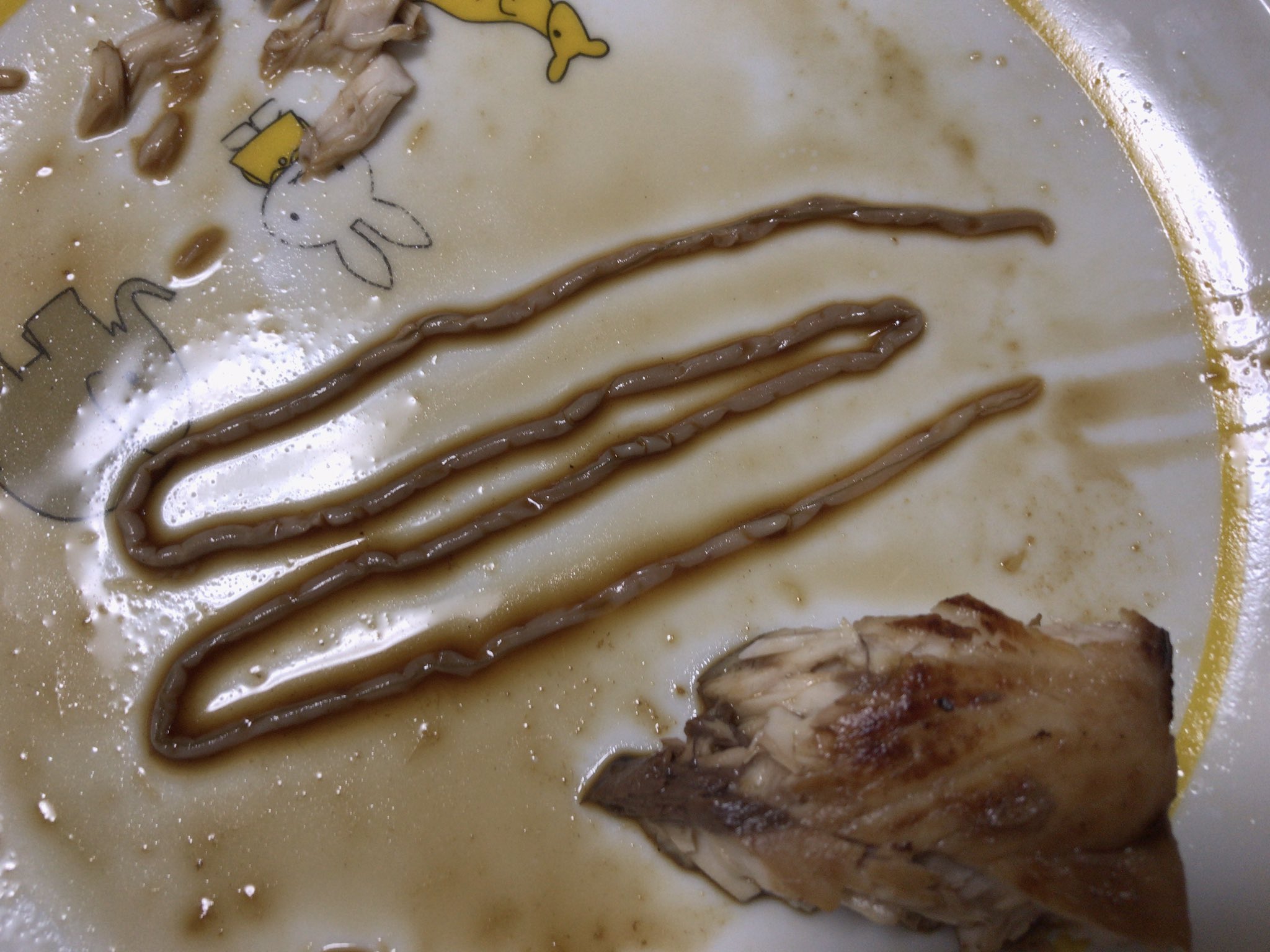 糸状虫 Twitter Search Twitter