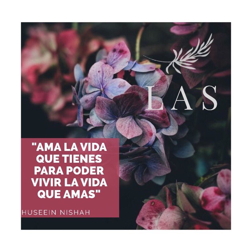 LolaArteSana's tweet photo. #las 💗🌿
#lolaartesana 🌸
#jabonesartesanales 🌾
#pielsana🌟
#jabonnatural 🍃
#handmade 🤚 
#jabonesnaturales 
#soap 
#cosmeticanatural 🌿
#handmadesoap
#lassoap 💓
#naturalsoap https://t.co/xEIyuwAexP