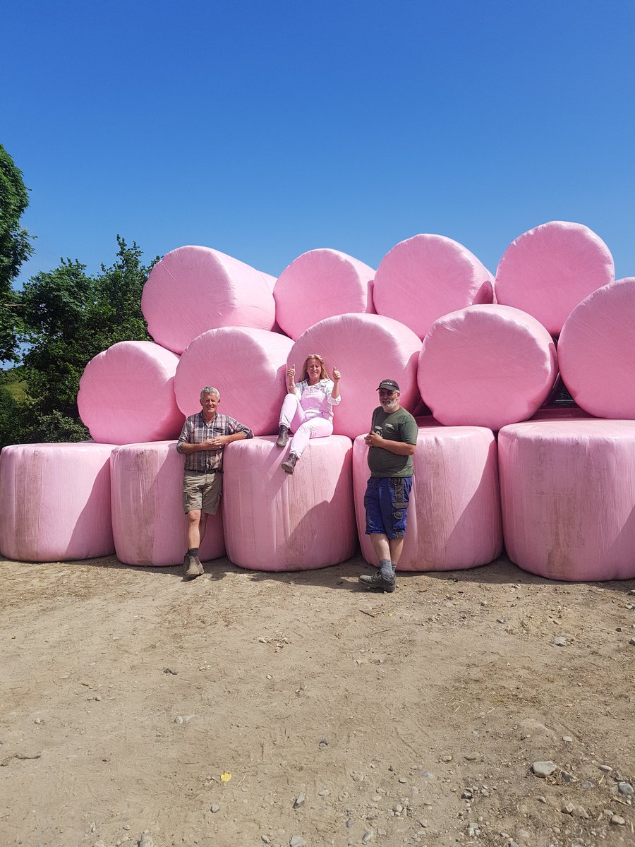 kilmullenfarm's tweet photo. We baked as well baled in pink !@BreastCancerIre.Come on all farming community even a few roles makes a difference both in visits awareness and monies to research . @GlanbiaPlc @Entre_Academy @Paulahynes4 @MarketsAlive @farmersjournal @SEWomenFarming @campbellsuz https://t.co/WfSoMuIOLB