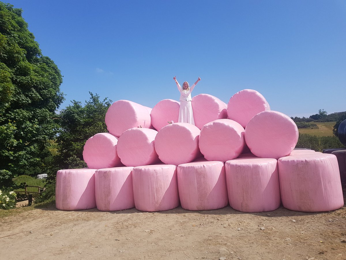 kilmullenfarm's tweet photo. We baked as well baled in pink !@BreastCancerIre.Come on all farming community even a few roles makes a difference both in visits awareness and monies to research . @GlanbiaPlc @Entre_Academy @Paulahynes4 @MarketsAlive @farmersjournal @SEWomenFarming @campbellsuz https://t.co/WfSoMuIOLB