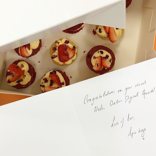 mycredas's tweet photo. Huge thank you to all at @spindogsdigital for the treats. They smell and taste amazing. @thetidykitchenco
#cake #teamcredas #spindogs #digital #wodigitalawards #winners #congrats #treats https://t.co/9fmMX604mH https://t.co/SNtbwworDG