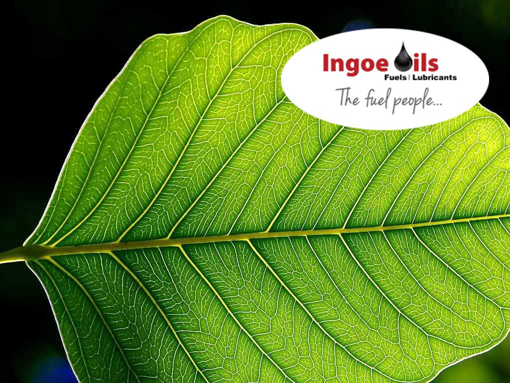 IngoeOils's tweet photo. #UKBusinessLunch #UKBizLunch Green diesel exists! Here's what you need to know and how to get your hands on some! https://t.co/loE6dd7MGo

#CarbonFootprint #GreenFuel #LowCarbon https://t.co/03lf9J3v9V