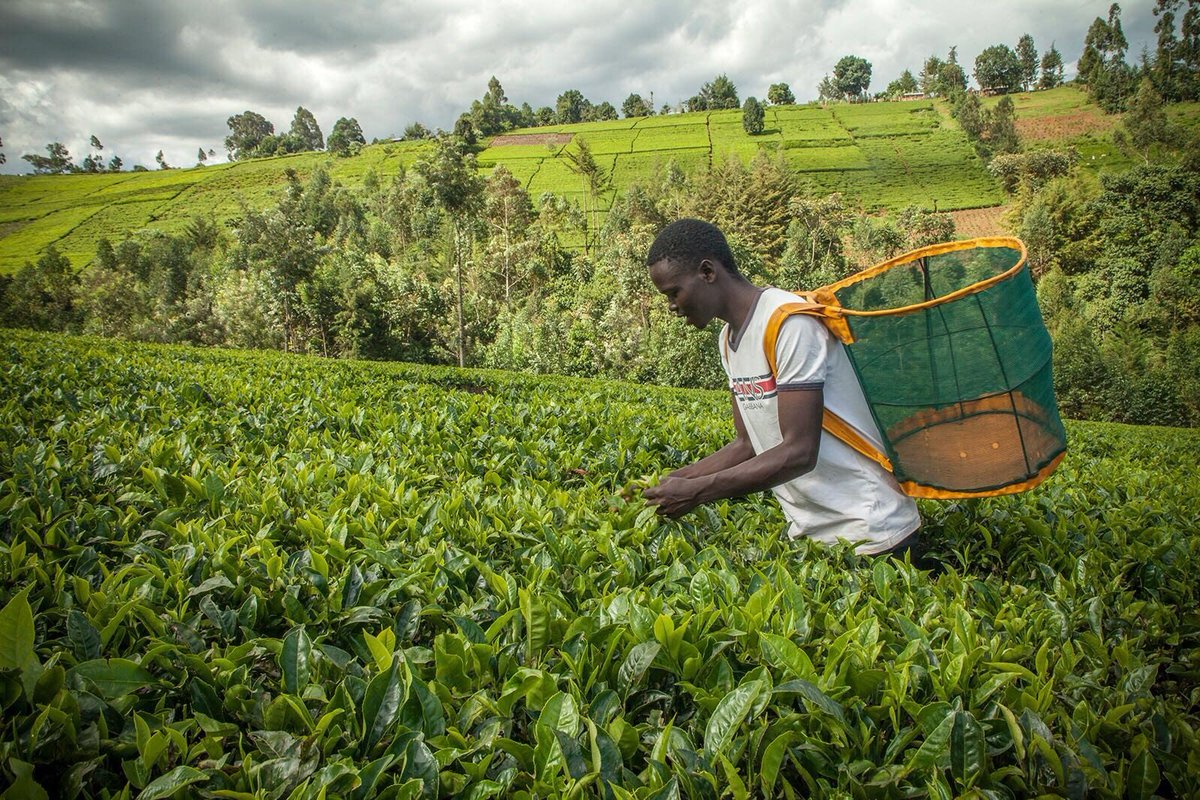 Social Tech Guide tweet media