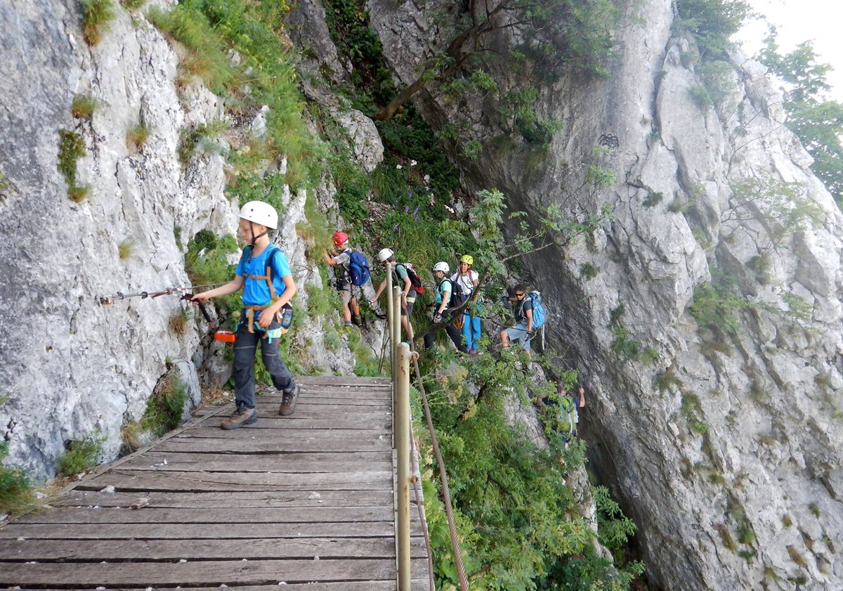 caifvg's tweet photo. Ultime uscite dei corsi di #AlpinismoGiovanile delle sezioni triestine del #Cai. Ferrata Sartor sul #Peralba per i piccoli della @SAGTriesteCAI, ferrata #Furlanova per quelli della @caixxxottobre. Bravissimi 😀 https://t.co/p4jnuqC95Z
