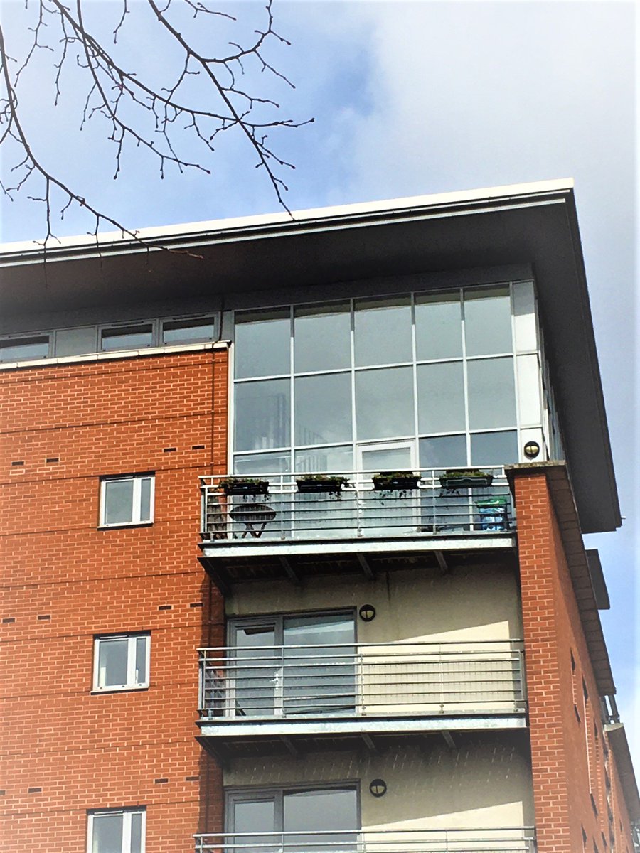 fish4accomm's tweet photo. #roomwithaview #nottinghamflat #46ropewalkcourt #penthouseapartment #topfloor #apartments https://t.co/tPf6zTFYyA