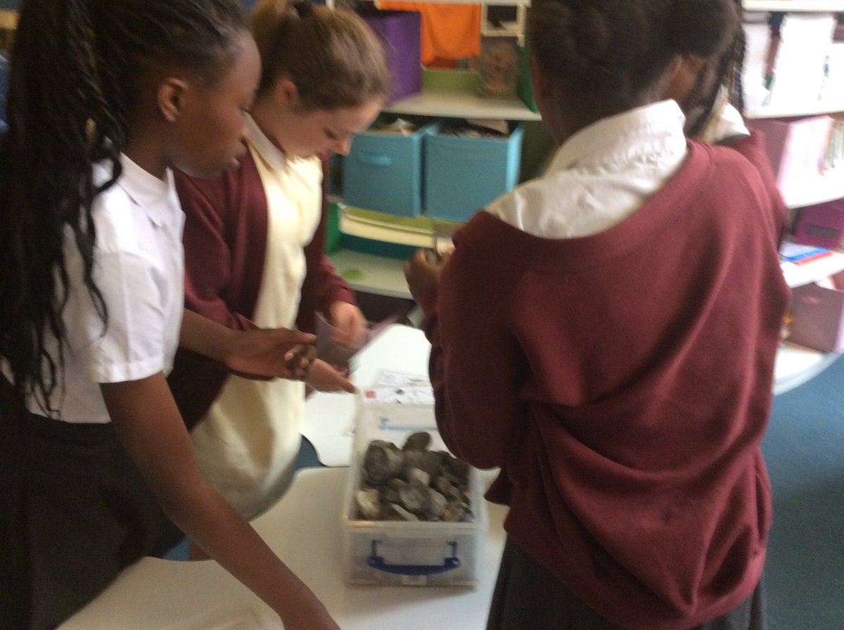 St_JamesYear6's tweet photo. Year 6 having a superb time at their fossil workshop courtesy of @palaeolab https://t.co/FDkAbaLwDG