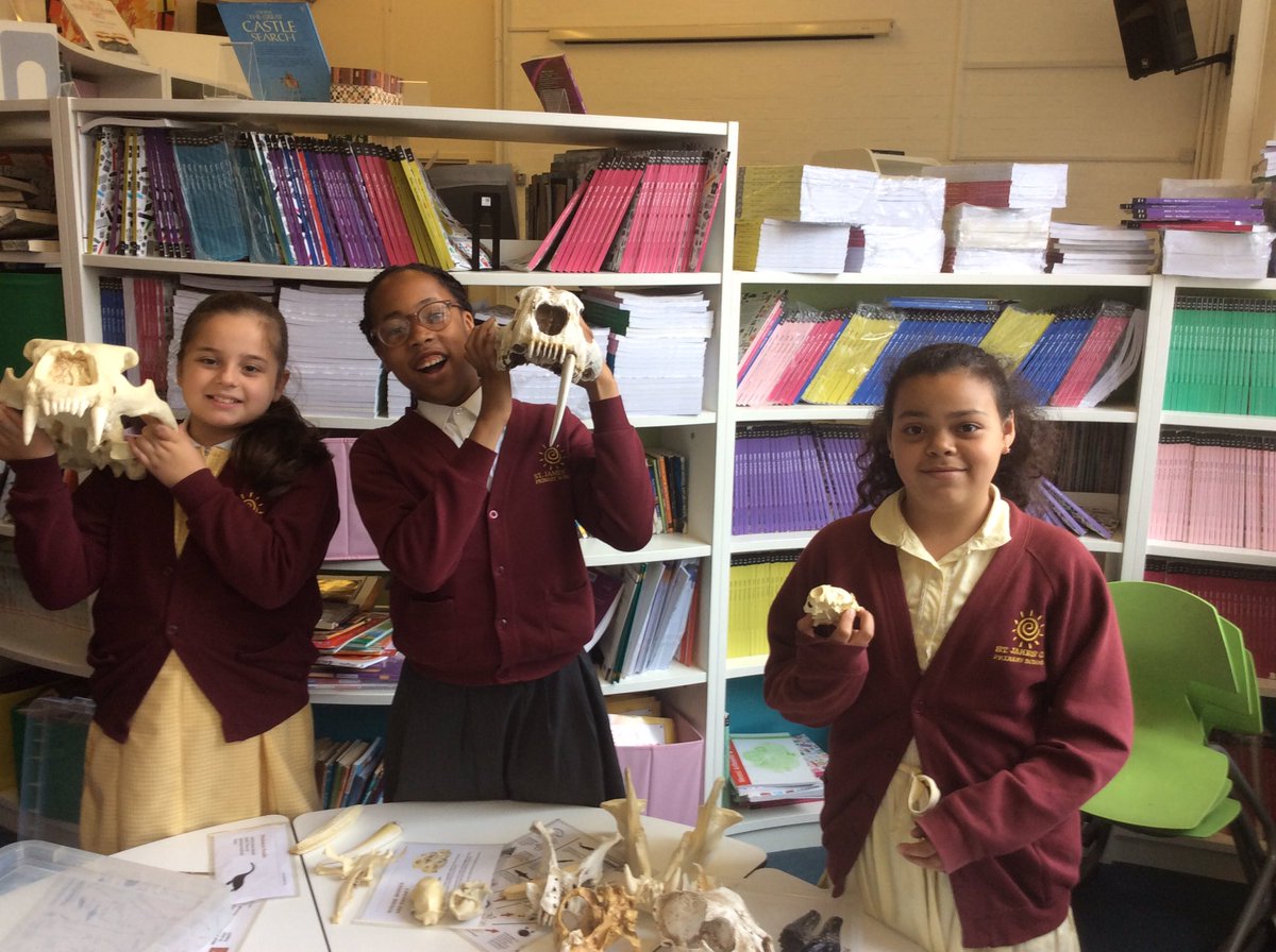 St_JamesYear6's tweet photo. Year 6 having a superb time at their fossil workshop courtesy of @palaeolab https://t.co/FDkAbaLwDG