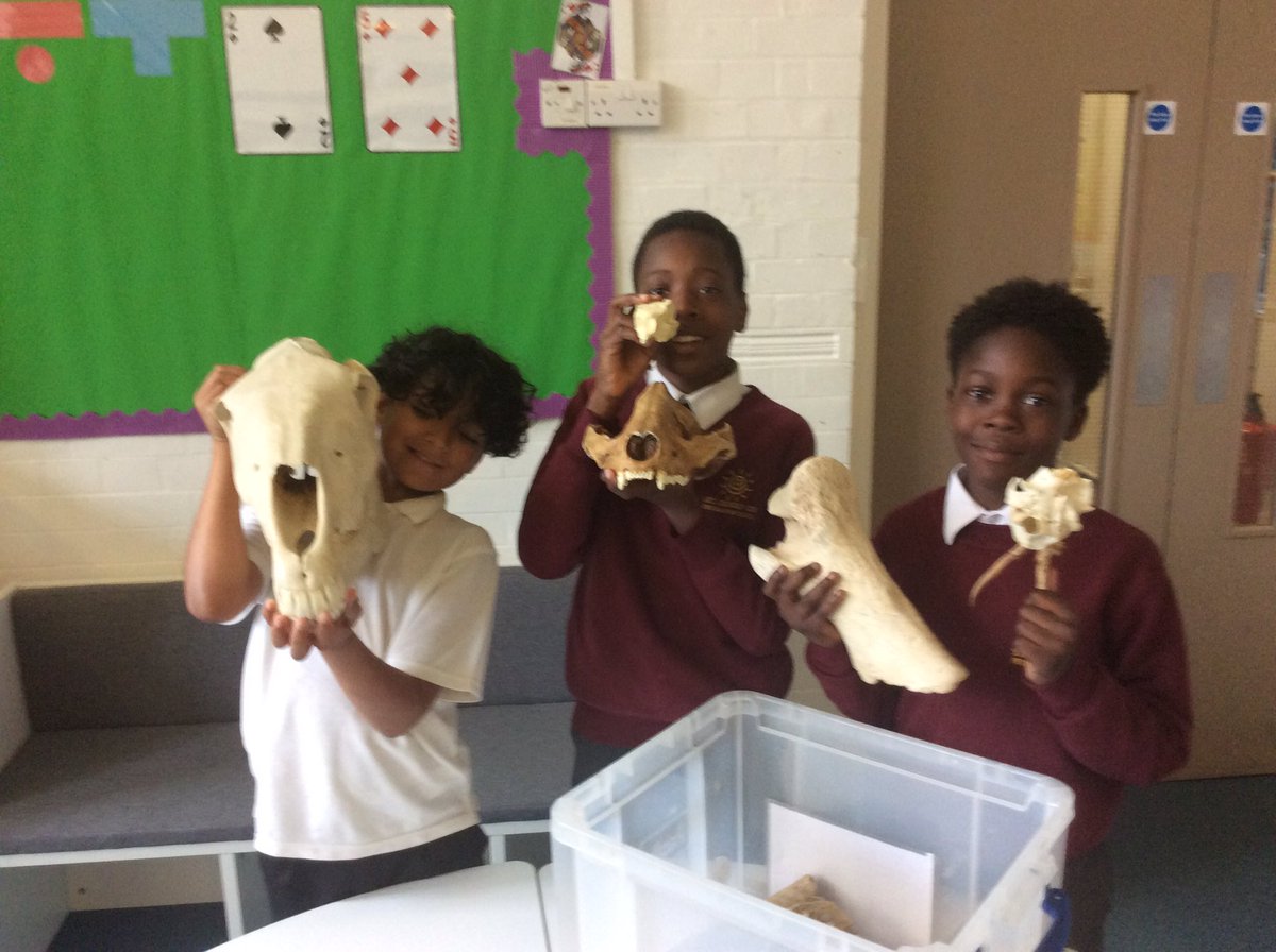 St_JamesYear6's tweet photo. Year 6 having a superb time at their fossil workshop courtesy of @palaeolab https://t.co/FDkAbaLwDG