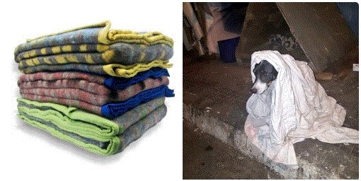 Hola amigos. La agrupación <a href="/PerrosPlazaHuem/">Perras Tuiteras🐾 Barrio Franklin 🇨🇱🐶🐱</a> está en campaña para reunir frazadas viejas para que los perritos callejeros del Barrio Franklin no pasen frío. Les ha ido mal. Les pido den RT para difundir y si quieren donar contáctense con la Agrupación al WhatsApp +56993341836