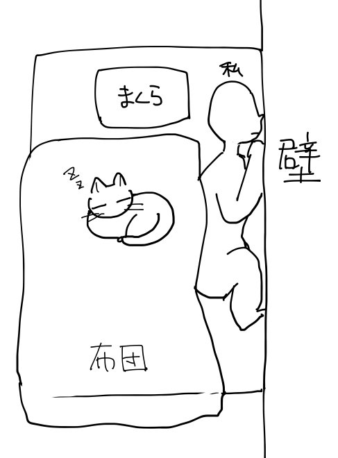 猫と寝ると朝絶対こうなってる 