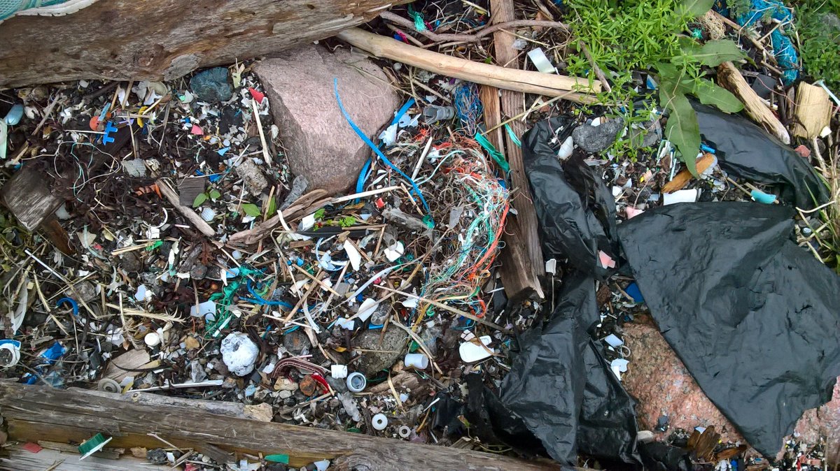 AcesSthlmUni's tweet photo. “I hope that this thesis makes even more people aware of plastic pollution in the ocean, unknown potential risks, and the challenges we have to face”, says Berit Gewert @AcesSthlmUni who defended her doctoral thesis today https://t.co/u3VuZn4hL2 https://t.co/wxMX4JGRLc