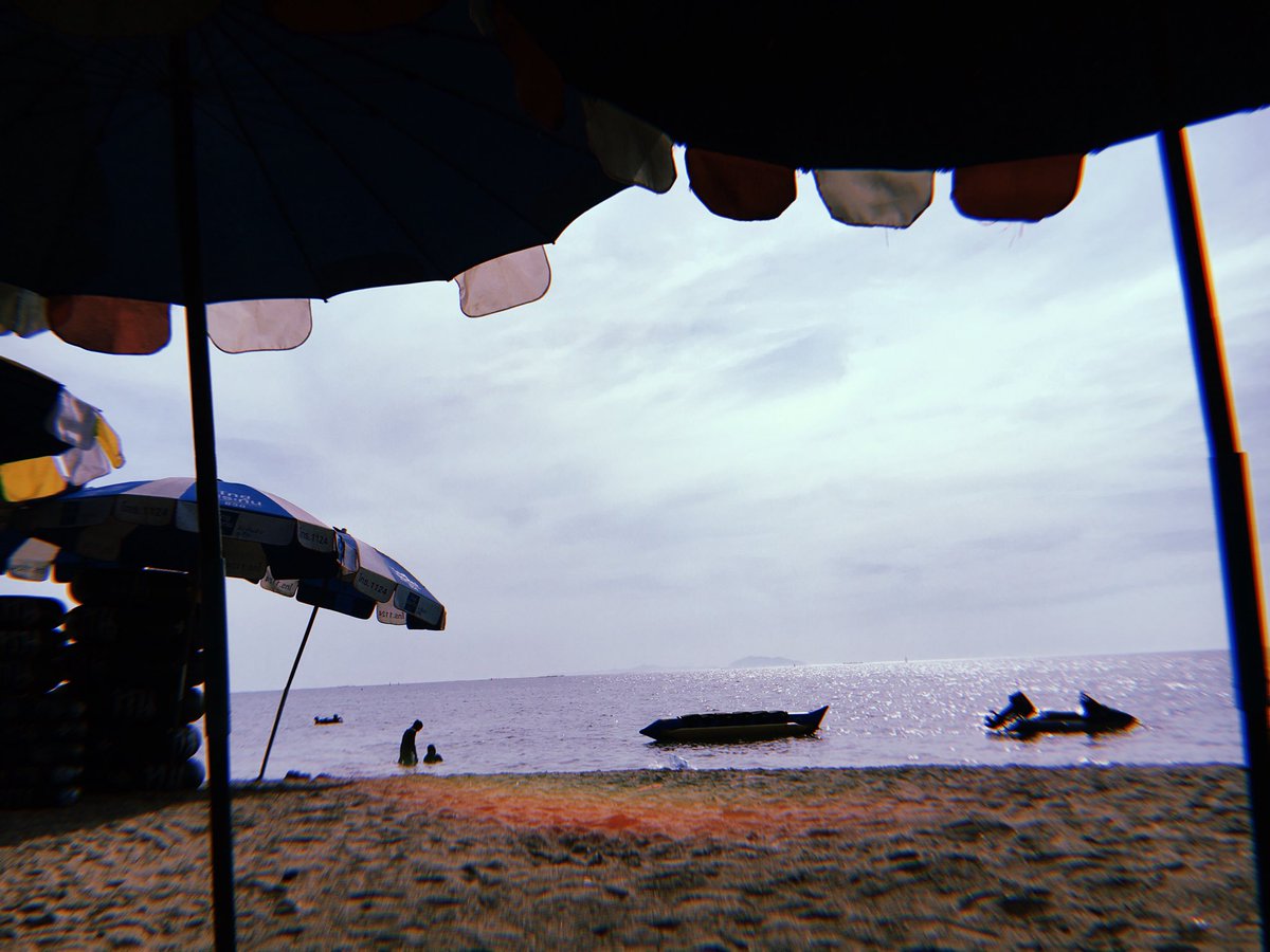 เ ว้ น ว ร ร ค ◦ soul in bloom ✿ tweet media