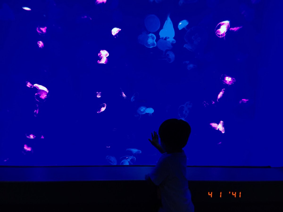 เ ว้ น ว ร ร ค ◦ soul in bloom ✿ tweet media