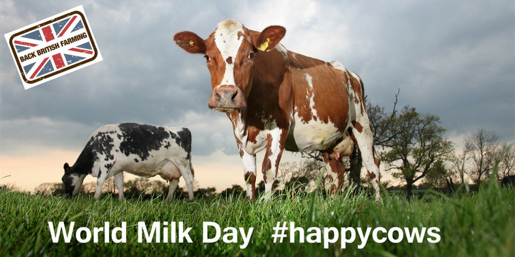 NFU_Dairy's tweet photo. Thank you to all those who got involved in #WorldMilkDay and helped share the dairy love! Here are just a few of our favourite pictures from the day #teamdairy #happycows 🐄🥛🐄https://t.co/41NSajmIyO https://t.co/PuyDe0Wvyp