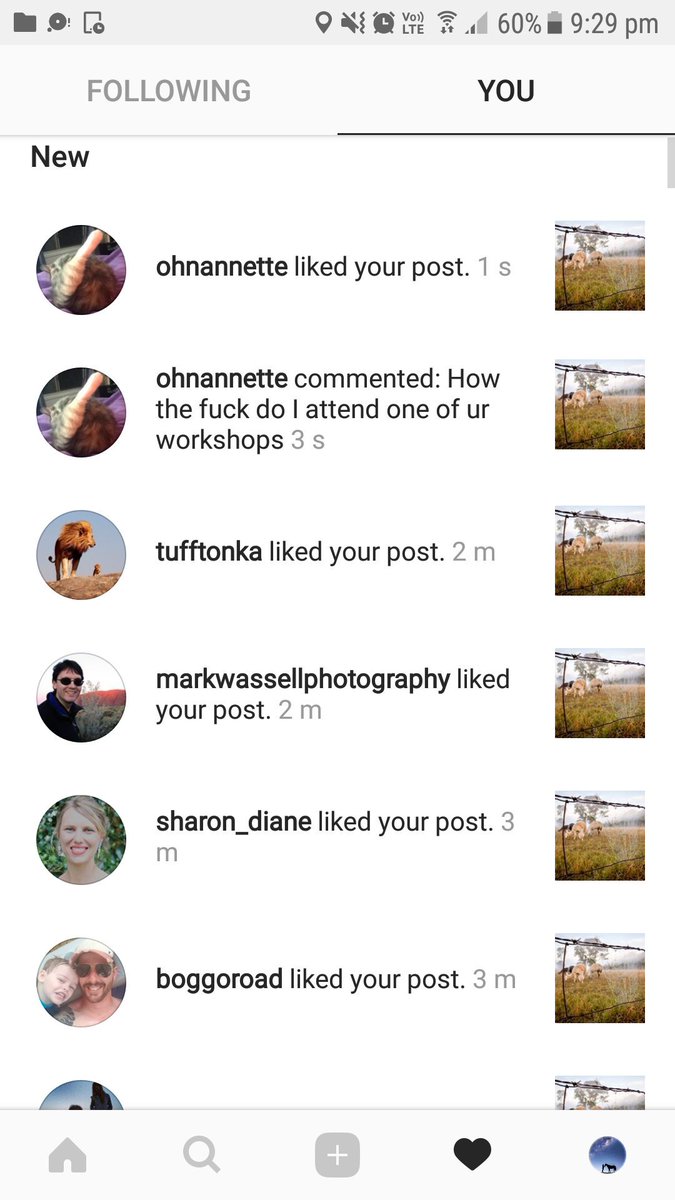 TheKateWall's tweet image. I guess they really want to come to one of my astrophotography workshops??

#mindthelanguage