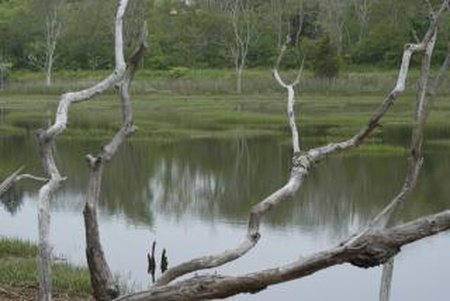 kellybaisley_91's tweet image. #SeattleSpecialtyInsurance, #FraudPreventionSoftware Alleged N2 billion Fraud: Witness testifies against Oronsaye goo.gl/aZN7xB