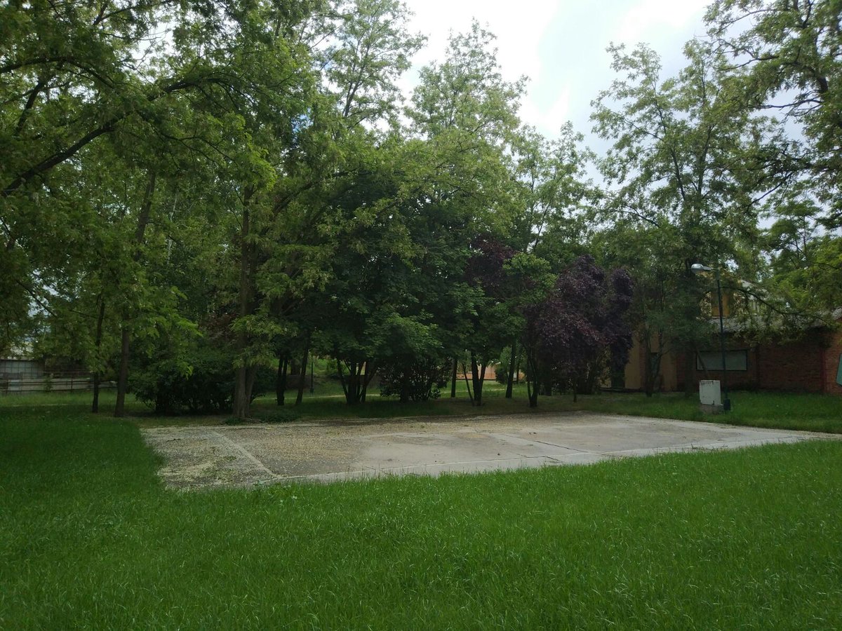 campamentoSG's tweet photo. Ayer estuvimos en nuestra querida Finca Camponuevo después de casi un año. Estaba tan bonita como siempre, o incluso más. Comprobado vosotros mismos. https://t.co/MDlMoO78CD
