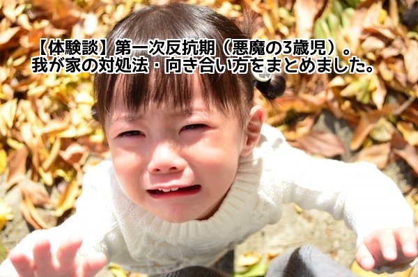 第一次反抗期 第一次反抗期