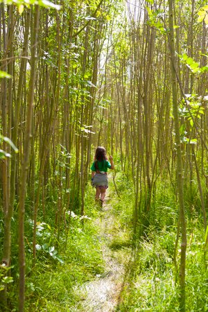 entertee's tweet photo. We had a lovely weekend at @woodlandsfestuk at the weekend - bushcraft in the woods went down a storm! We love working with this festival who year on year create a tranquil haven for families to enjoy. #woodlandsfest #fencing #entertee https://t.co/bhOMfbbv8t