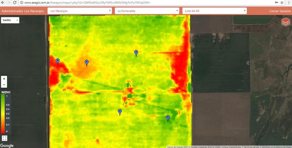 AseagroAG's tweet photo. #ASEGISenAcción Esta  es una imagen NDVI (Índice Verde) Fue un #MuestreoDirigido para caracterizar ambientes mediante determinaciones de Laboratorio. El #Objetivo es la restauración y manejo adecuado de nutrientes #Aumentar la #Productividad. Te lo imaginás en tu #Campo? 😀 https://t.co/ztCApKLrbk