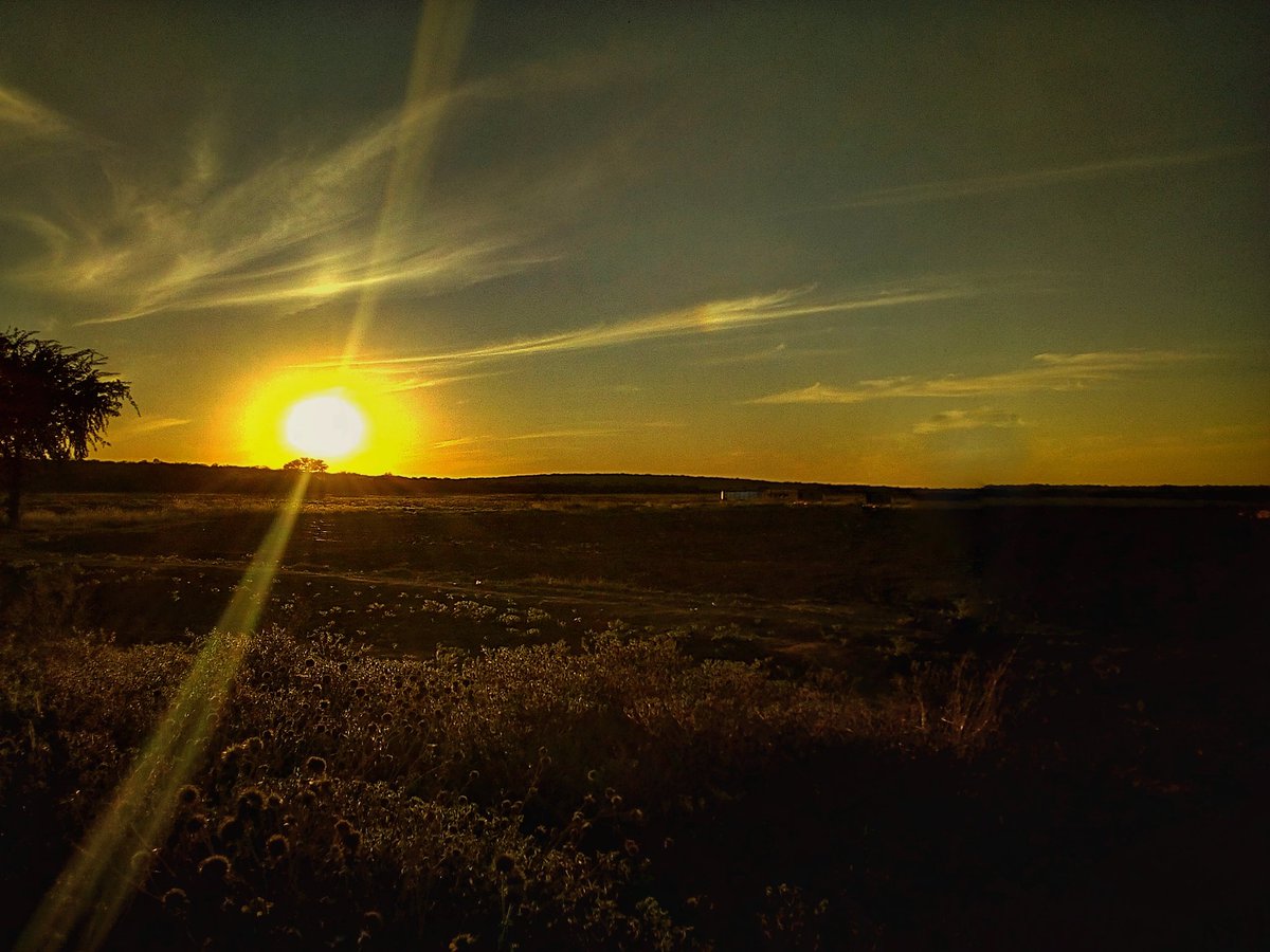 tankis007's tweet photo. Farm view. 

Amen. https://t.co/EgNIfC4OQ3