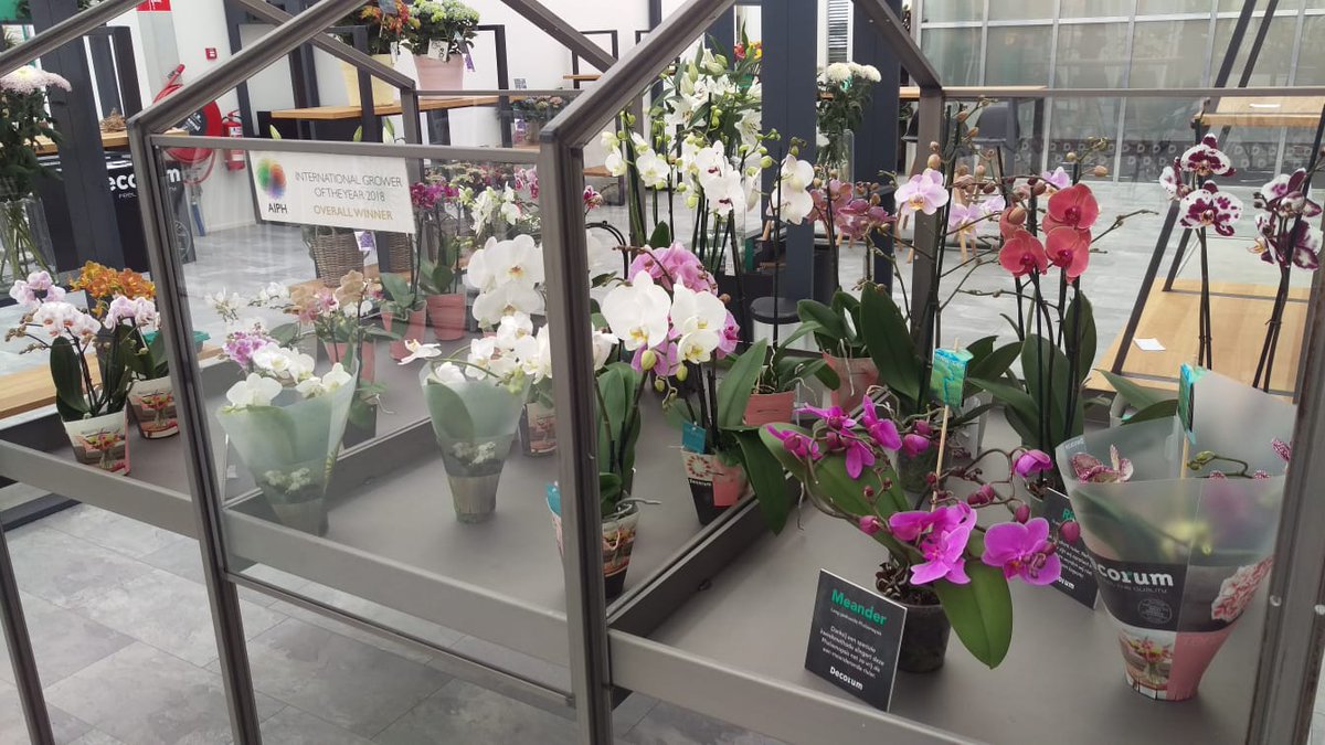 TerLaakOrchids's tweet photo. Tot en met vrijdag zijn we met @Decorumcompany te vinden op de #SummerFair in het @WorldHortiCentr! https://t.co/WP2GWaBy5e