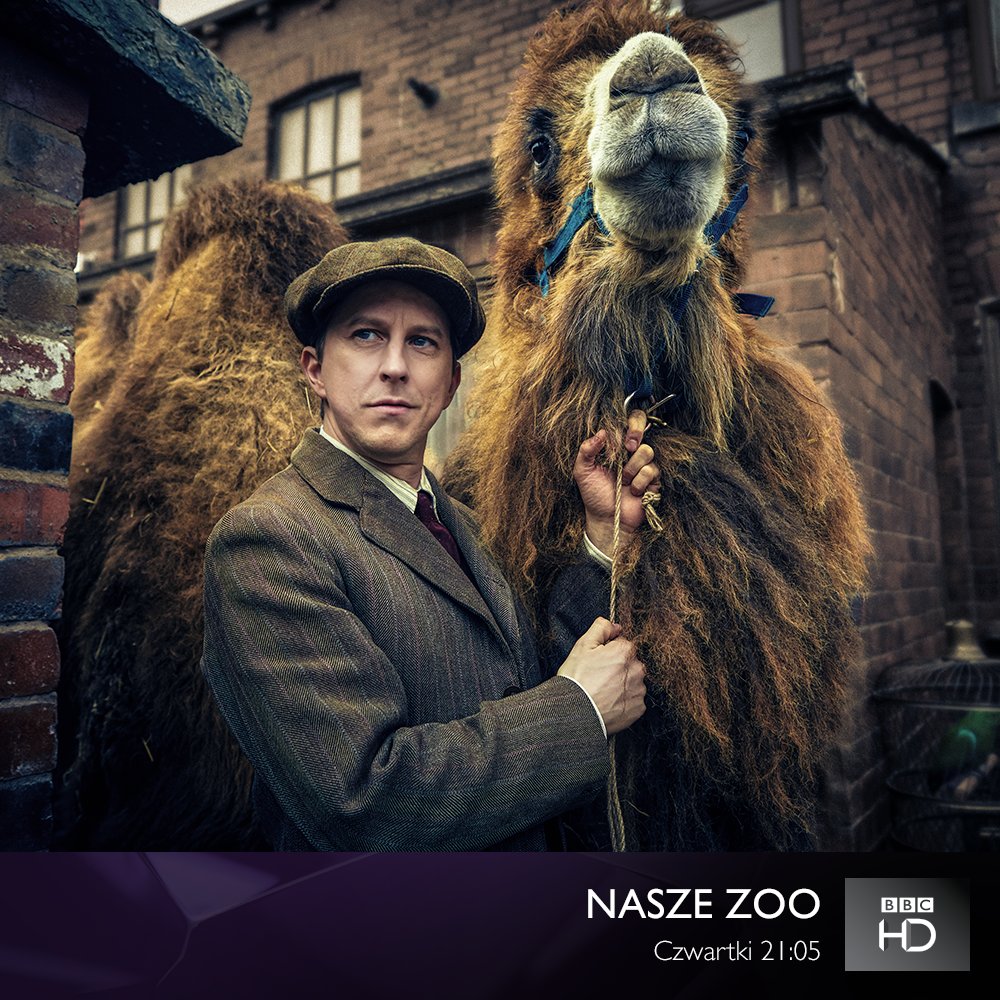 BBCPolska's tweet photo. George Mottershead marzy o stworzeniu pierwszego zoo bez klatek.
"Nasze zoo" - pierwszy odcinek opartego na prawdziwej historii serialu o realizacji marzeń już dziś o 21:05 w #BBCHD. #premiera https://t.co/EX20xxbE2j