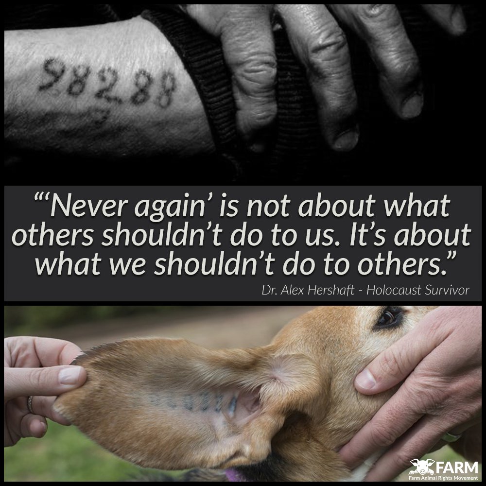 Animal Rights Famous Quotes