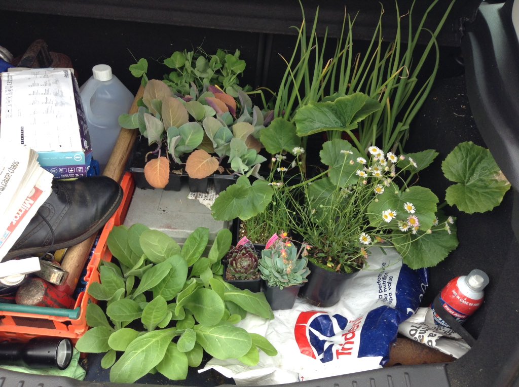 Robson and Cowan (@robsonandcowan) on Twitter photo A lunchtime road trip to see the <a href="/stantongardener/">Stanton Hall</a> with <a href="/ATVMoff/">Philip Moffit</a> As always you find great plants there,Veg for Moff and some Nicotiana,Sempervivum and Erigeron for me
An evening in the garden for me,if the rain keeps away 😃🌸😀 A lunchtime road trip to see the <a href="/stantongardener/">Stanton Hall</a> with <a href="/ATVMoff/">Philip Moffit</a> As always you find great plants there,Veg for Moff and some Nicotiana,Sempervivum and Erigeron for me
An evening in the garden for me,if the rain keeps away 😃🌸😀