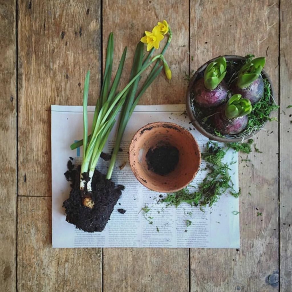 incredibusy's tweet photo. Think it's time for a new #sgiew photo challenge don't you?
What do you say @melwiggins? Shall we? tonight? 
Here's one we made earlier - with some AMAZING entries for #sgiew_SPRING and one lucky winner - https://t.co/XMPVK0ul0C https://t.co/fY6A8QKILj