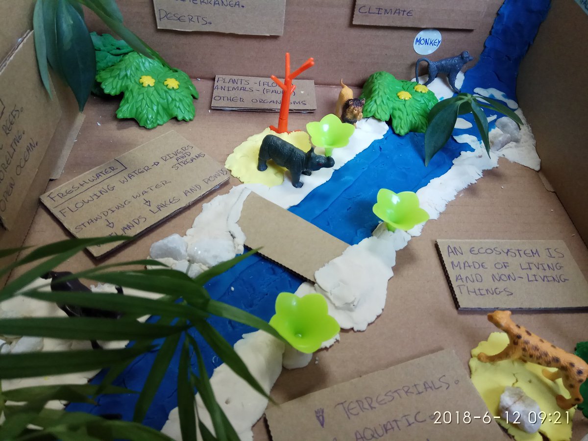 magutva's tweet photo. A small box can be transformed in a savannah. Thanks Paula Méndez for this original class on #ecosystems #naturalscience #clilscience #CLIL #learningbydoing @ceipkantica #yosoydeidiomas https://t.co/1dLtIUXJd7