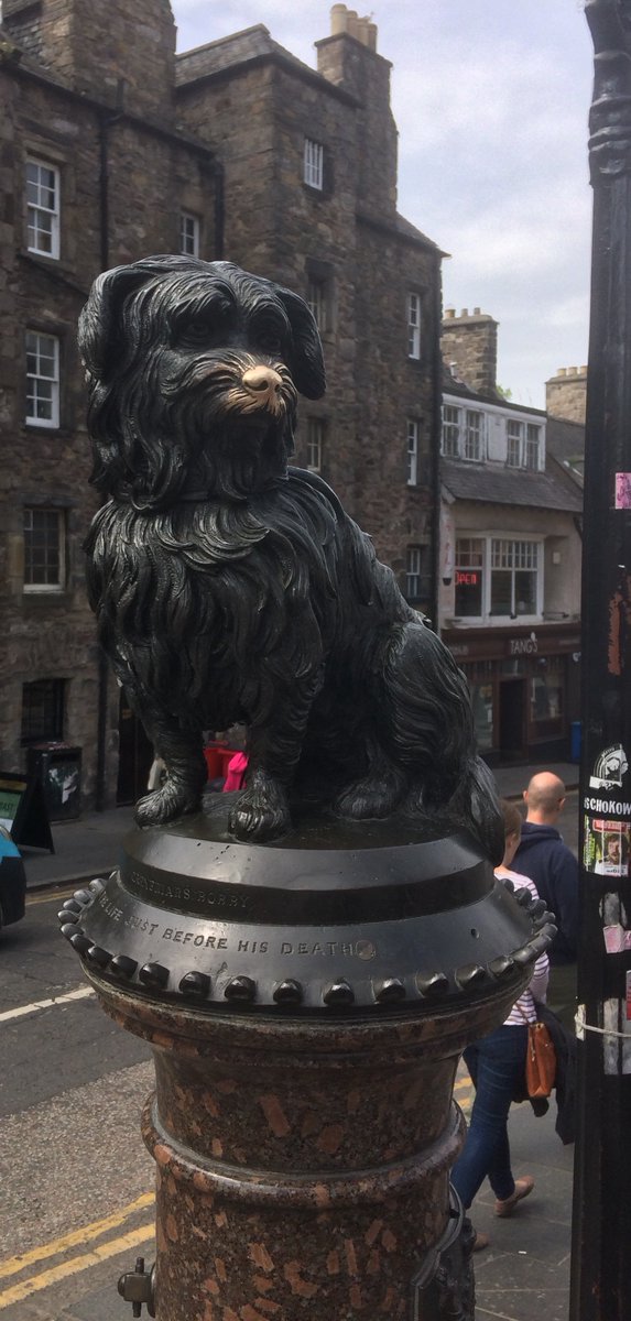 StewartBrewing's tweet photo. It's the last week of our Craft Beer Showcase tastings with @Nicholsonspubs @eatdrinkmb! Come along tonight to the Greyfriars Bobby between 7-9pm to sample some free beer and have a chat with @StewBrewJake! https://t.co/l9gMTAPcYL