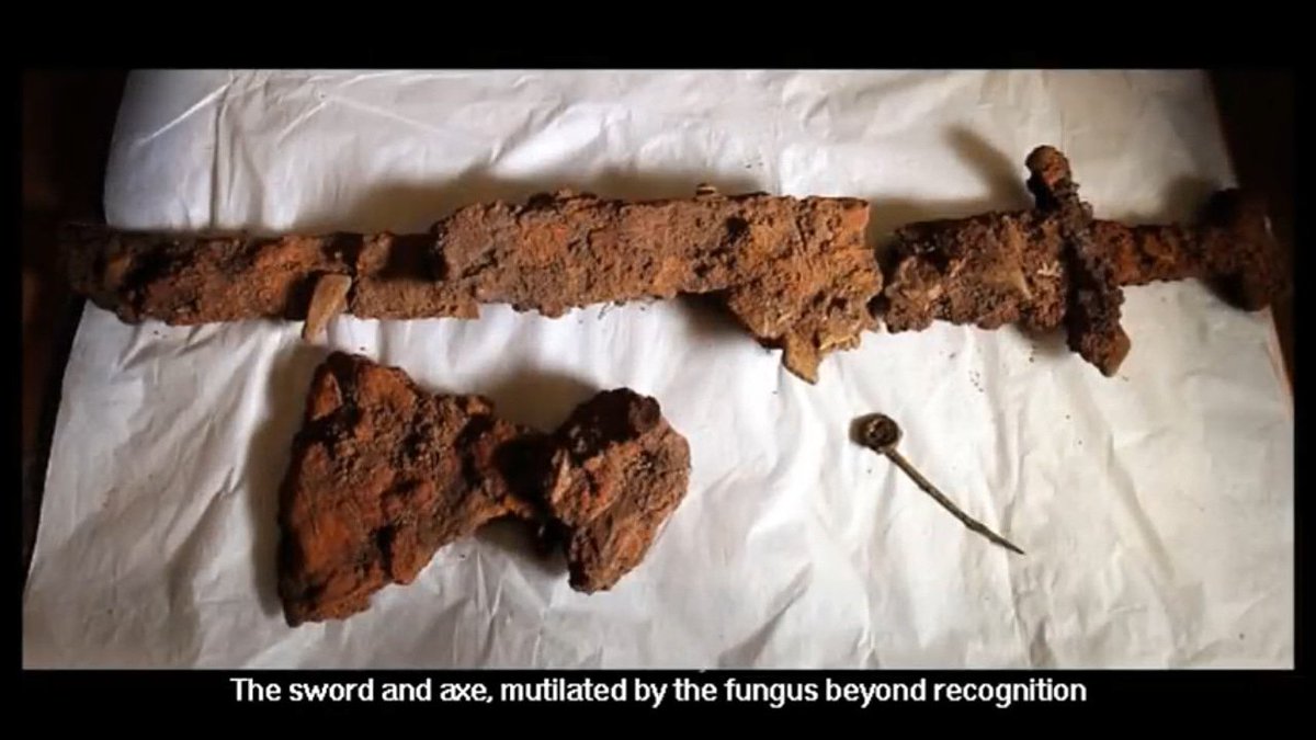 BrianJay_D's tweet photo. #fungus #mycelium #corrosive https://t.co/O5xa8SKnmP