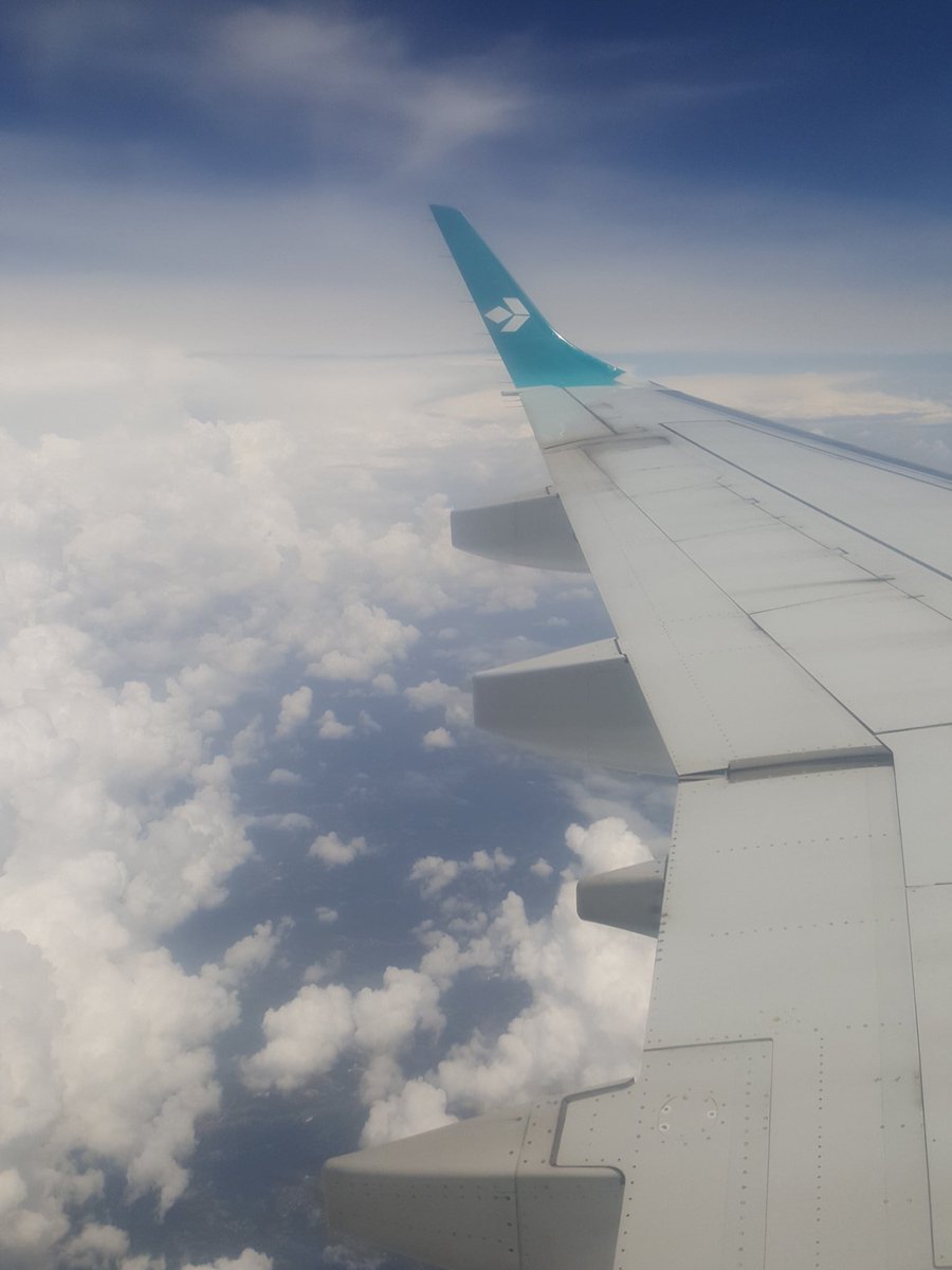 CrisGlezP's tweet photo. #veryexciting! @BrinkmannLab in our way to #Turin to meet all the @EdgeItn and discuss about #herpesvirus #immunology and #virology 🇮🇹#makeSCIENCE
@MSCActions @EU_H2020 https://t.co/rznp3RhVpO