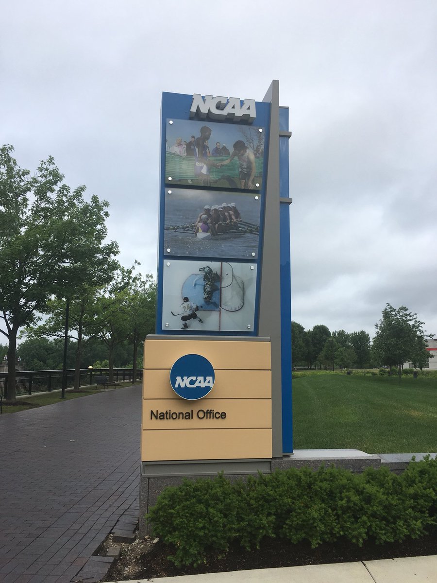 FPURavensAD's tweet photo. Exciting things are happening in the DII rowing world right now! https://t.co/HJwmdcpfFN