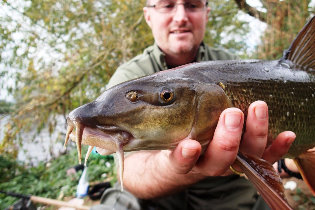 drpetewalker's tweet photo. Very excited about Friday and even more excited about the days, weeks, months following that. Exciting IFM announcement imminent I believe . . . . . @IFMFish @RiversTrustBB @baldyginge @severnrivers @WildTroutTrust #fish #rivers #angling https://t.co/Uf0GisnYkc