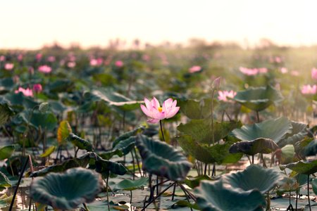 rodneyshoema_96's tweet image. #IdentityThief, #TelematicsFleetTracking Signature Estate &amp;amp; Investment Advisors Cut Celgene (CELG) Stake By $13.26 Million; Intrepid Capital Management ... goo.gl/VPjdno