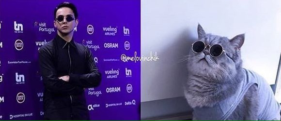 nesmakbbq's tweet photo. МЭЛА ОН КАК КОТ.ВСЕ РАДУЕТЬСЯ КОГДА ОН ТОЛСТЕЕТ.ВСЕ ХОТЯТ ЕГО ПОТИСКАТЬ.ВСЕ ХОТЯТ НА НЕМ ЖЕНИТЬСЯ.ОБА МИЛАХИ КОТОРЫЕ ЗАХВАТИЛИ НАШ СЕРДЦА И ИНТЕРНЕТ.ВСЕ БАЛДЕЮТ ОТ ИХ КАЕФНОГО МУРЛЫКАНИЯ(Голоса).ВОПРОСЫ ВАША ЧЕСТЬ https://t.co/H5tis3Gbea