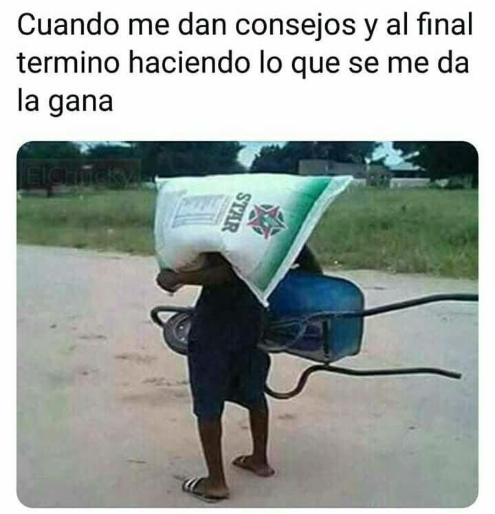 ClauAri's tweet photo. #FrescoRMX #momartes @dnl así yo jajaja 🙄 https://t.co/ijglktagFF