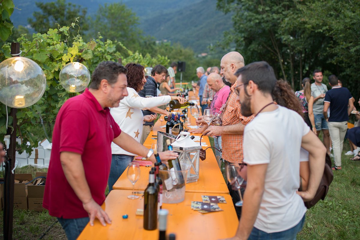 AlTorcoLosine's tweet photo. Aperitivino in vigna. 🍷🍇 🍾🥂17/08/2018 Losine (BS) #altorcol #losine #vallecamonica #vino #vigneto #visitlakeiseo #madeinbrescia #inlombardia #produttori #cantine #degustazione #visitbrescia #valledeisegni #natura #ambiente #turismovallecamonica #consorziovinivallecamonica https://t.co/QdvsAlNKrE