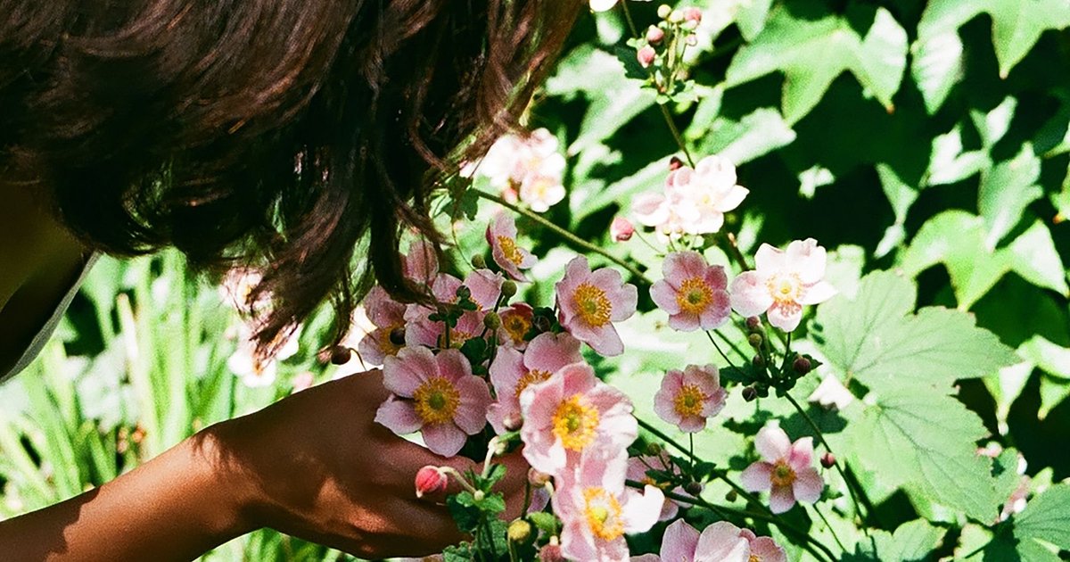 6 Essential Oils That Might Help Soothe Your Allergies buff.ly/2JDucMU