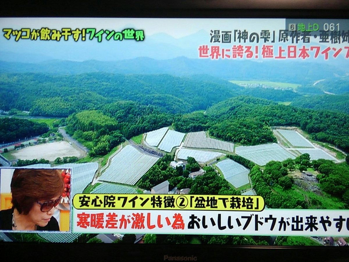 マツコの知らない世界で 安心院 が話題に 3ページ目 トレンドアットtv