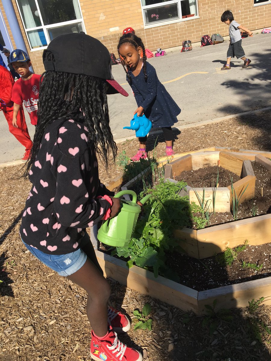STMKC1's tweet photo. #stewardsofcreation @STMOttawa https://t.co/ouJUjSfq94