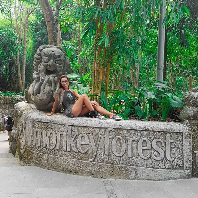 PaolaStelmach's tweet photo. A floresta com os macaquinhos mais sanguinários que você deve respeitar 😁
.
.
.
#monkeyforest #monkey #bali #indonesia #indodreams #macacosmalditos https://t.co/M7REqjHoyO https://t.co/NPrHDAWQnG