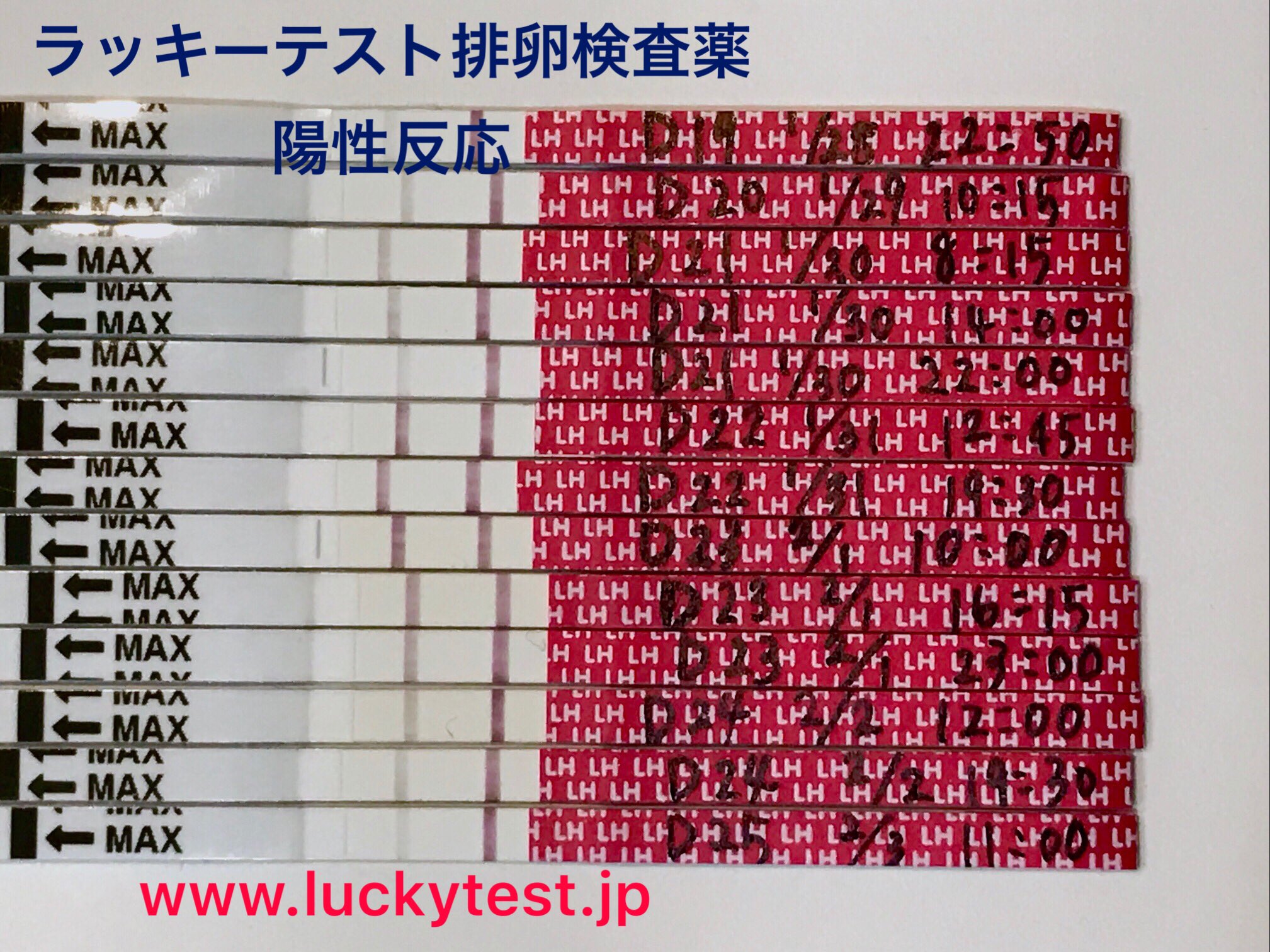 排卵検査薬 妊娠検査薬通販 ラッキーテスト Jp 在 Twitter 上 ラッキーテスト排卵検査薬陽性反応 D22午前 D23午前は強陽性反応です D23夜から薄くなり D24以降は陰性反応です D23夜 D24朝の間に排卵した可能性が高いです D22とd23のタイミングがベストです