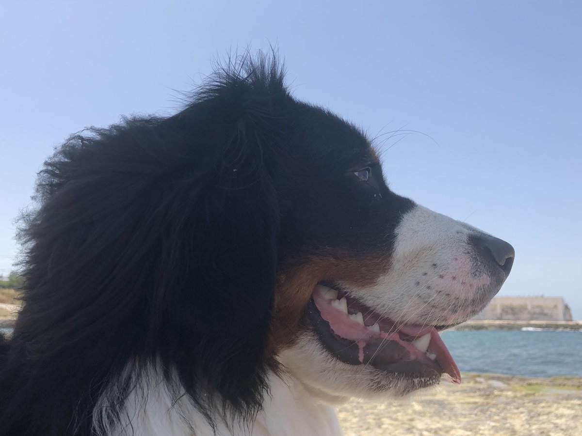 In attesa di domani oggi siamo andati al mare che ha il potere di donare serenità e scacciare i pensieri negativi 🐚 #WeAreinPuglia <a href="/_Tips4Trips_/">tips4trips.org</a> <a href="/attanasio_g/">Giuseppe Attanasio</a> <a href="/BrunaAthena/">Bruna Athena</a> <a href="/ItinDiViaggio/">Itinerario di Viaggio</a> @foodblogzine @lovecetraro <a href="/DestinazioneT/">Destinazione Terra</a> @rivogliobarbie <a href="/viaggimperfetti/">Benedetta Manganaro</a> @sscinic