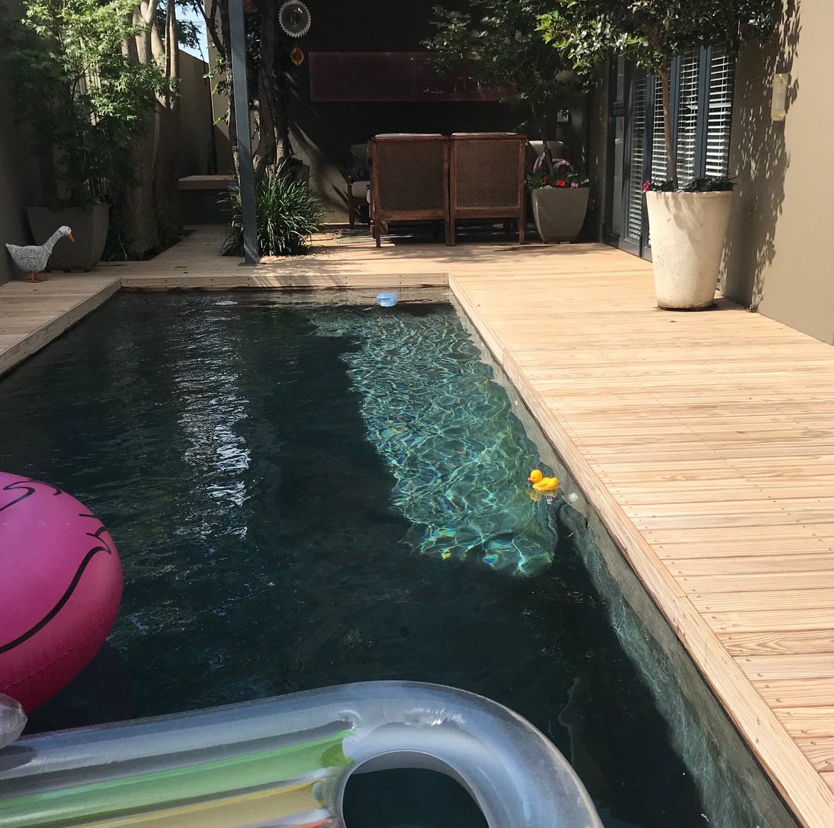 rhino_woodSA's tweet image. Want to know the secret of Rhino Wood’s resistance to wood-borers, termites and rot? It’s to-the-core pressure impregnation with a patented natural wax compound. For more click here: bit.ly/2CCCNuU
#modifiedtimber #rhinowood #rotresistant  #termiteresistant